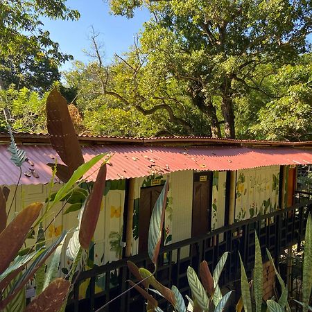 Hostal Las Mariposas Minca Eksteriør billede