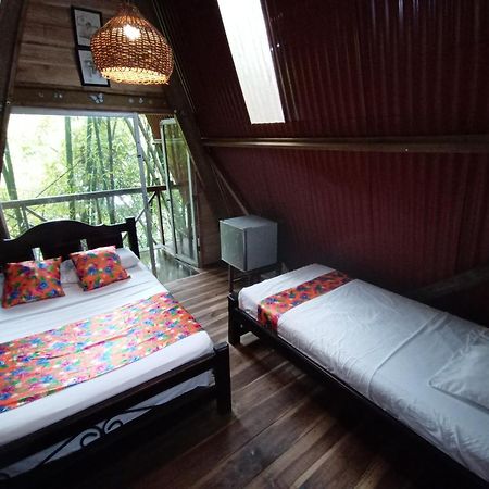 Hostal Las Mariposas Minca Eksteriør billede
