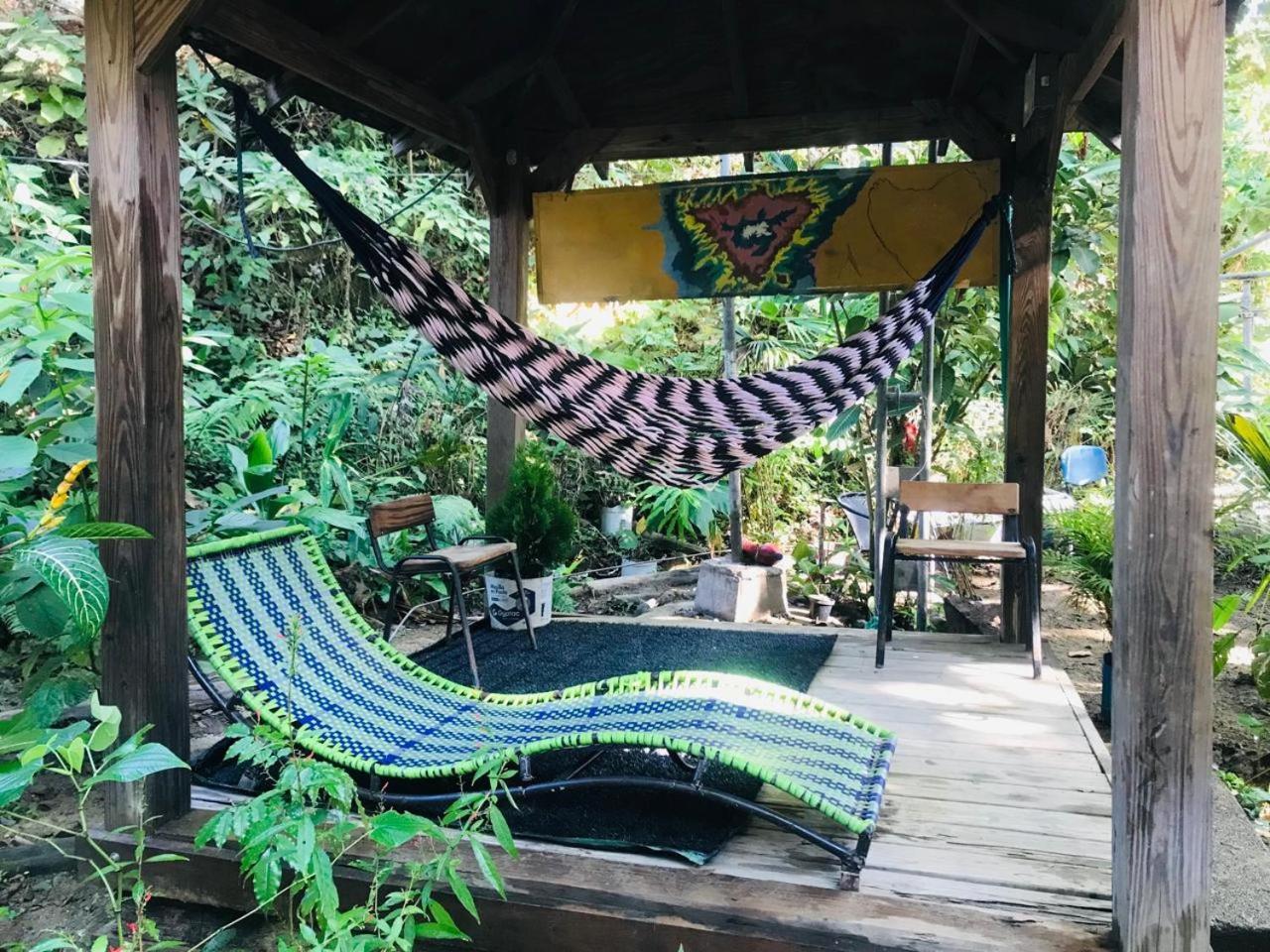 Hostal Las Mariposas Minca Eksteriør billede