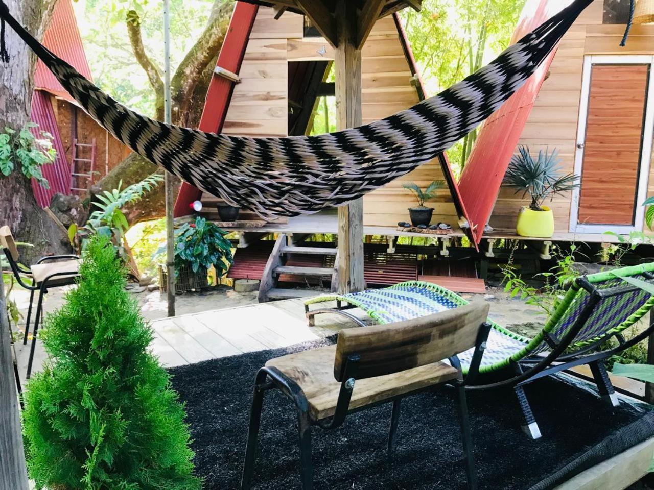 Hostal Las Mariposas Minca Eksteriør billede