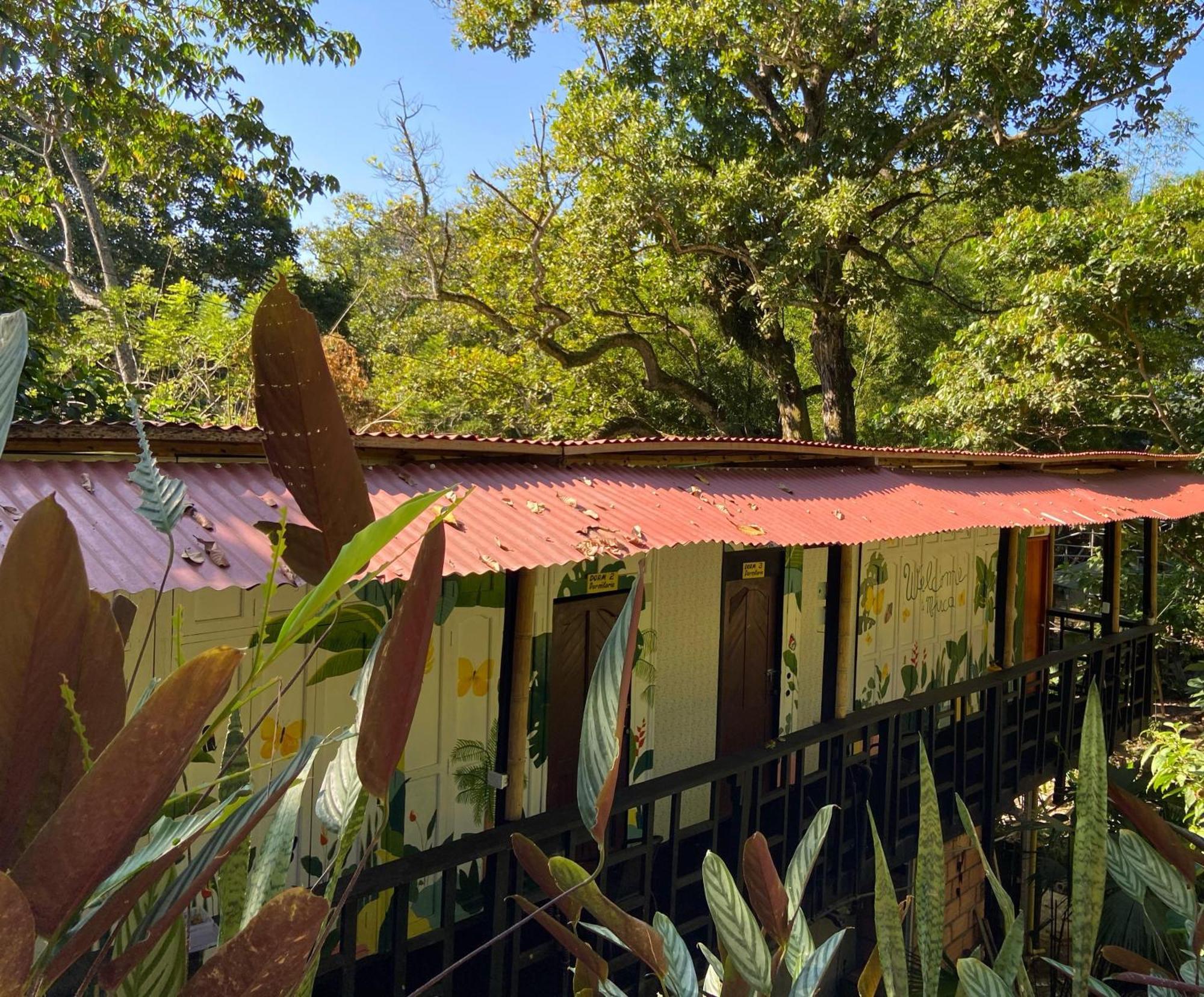 Hostal Las Mariposas Minca Eksteriør billede