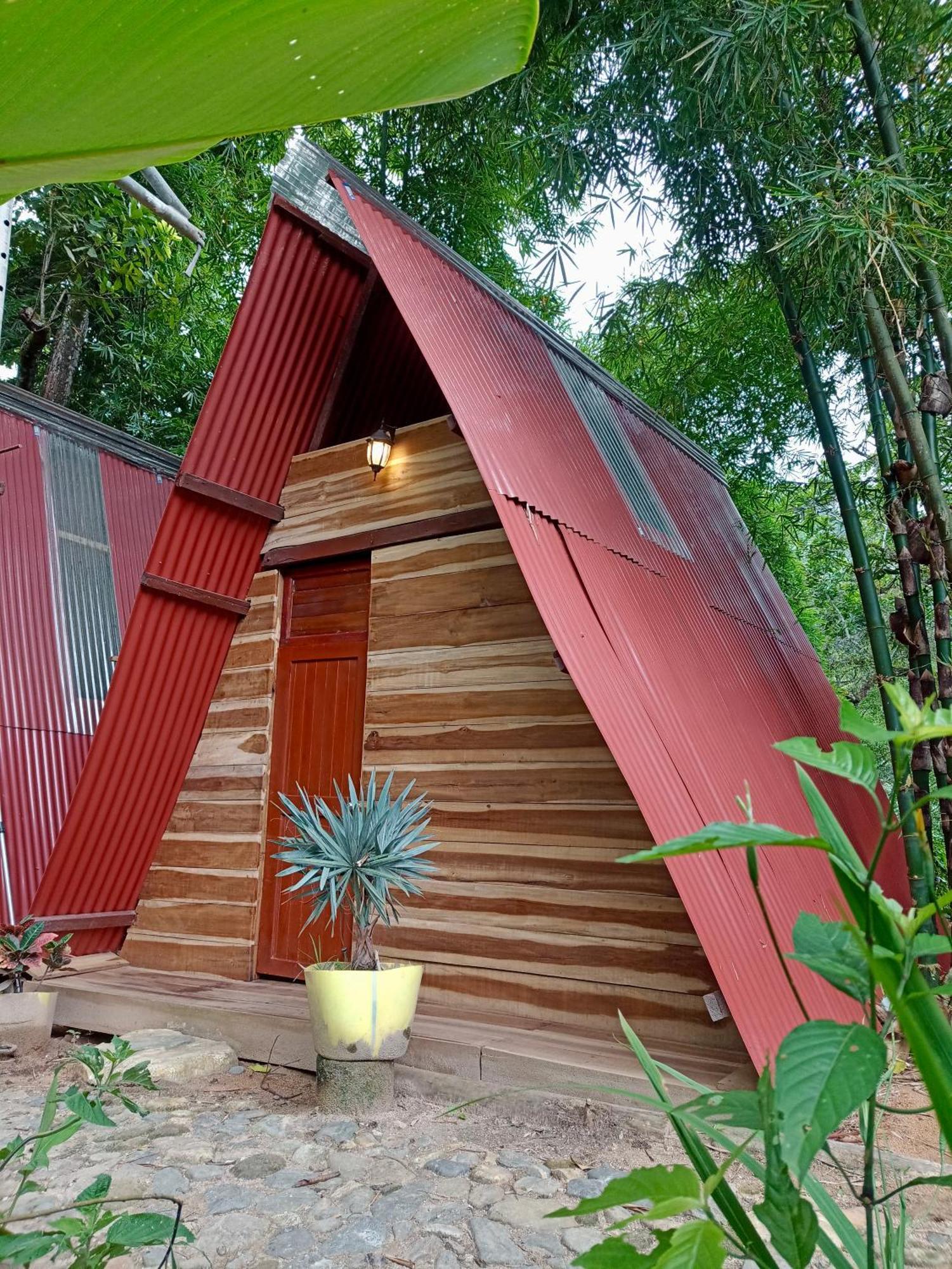 Hostal Las Mariposas Minca Eksteriør billede