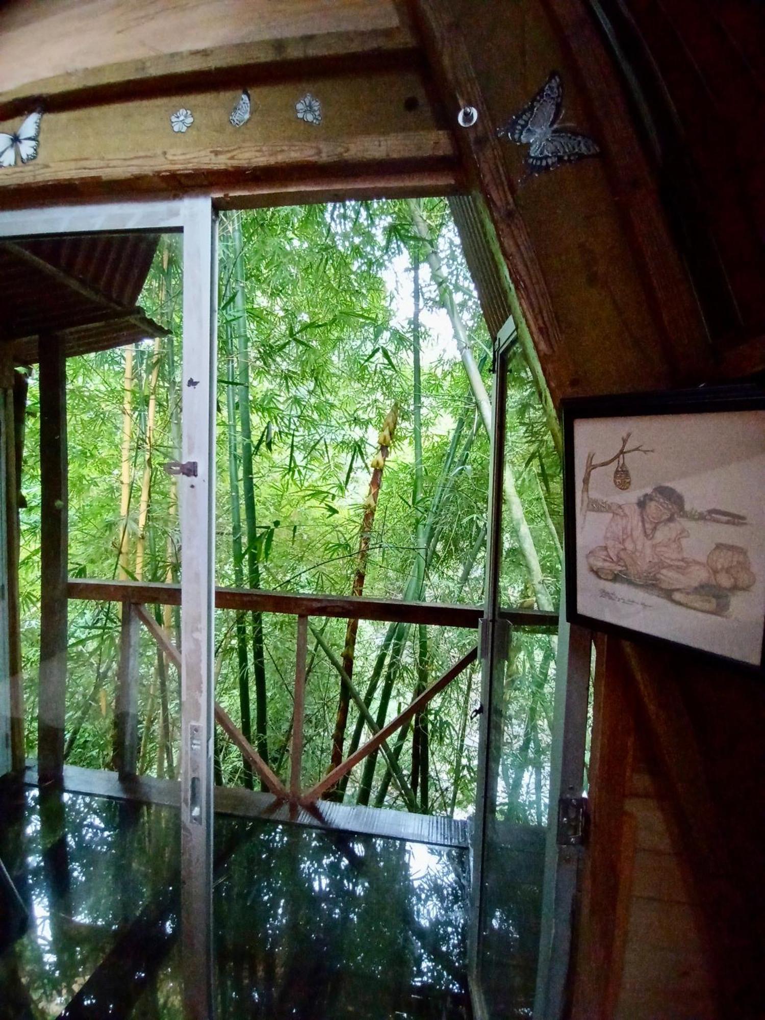 Hostal Las Mariposas Minca Eksteriør billede