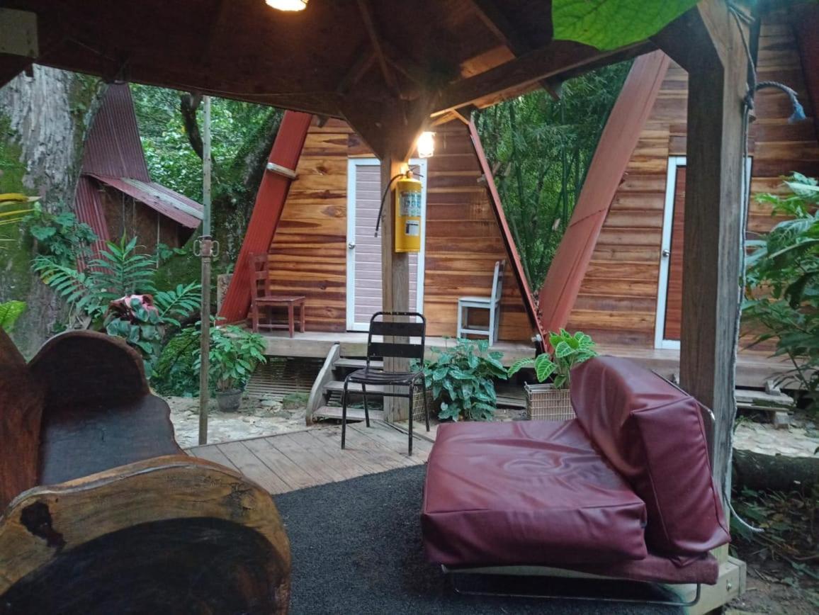 Hostal Las Mariposas Minca Eksteriør billede