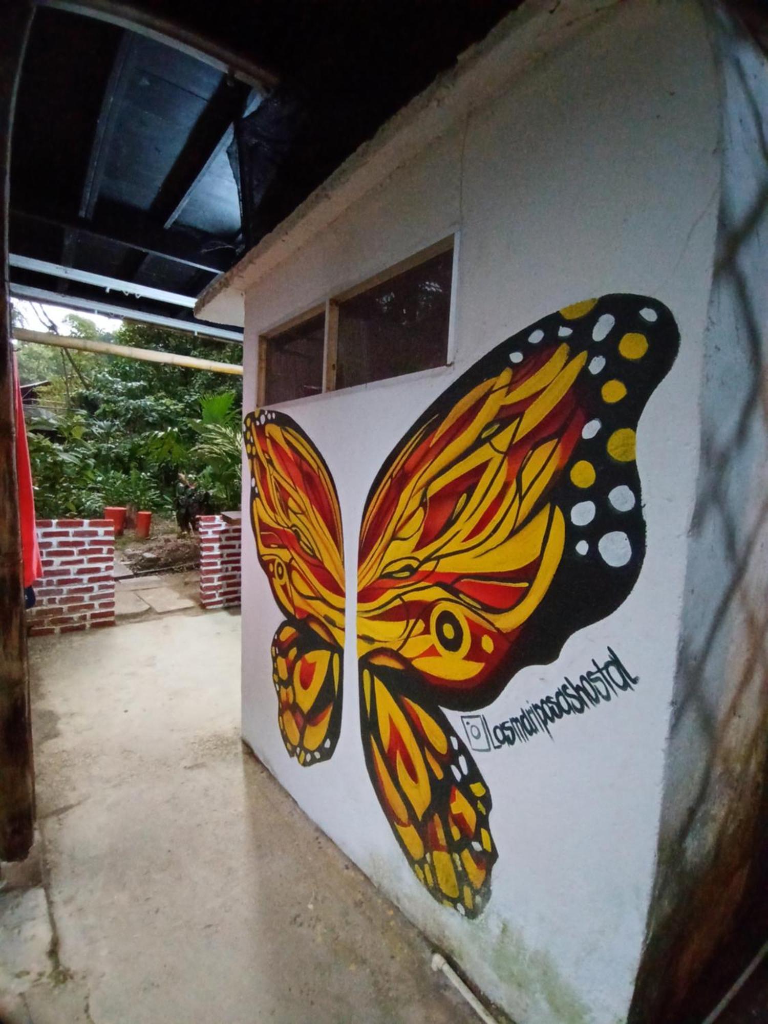 Hostal Las Mariposas Minca Eksteriør billede