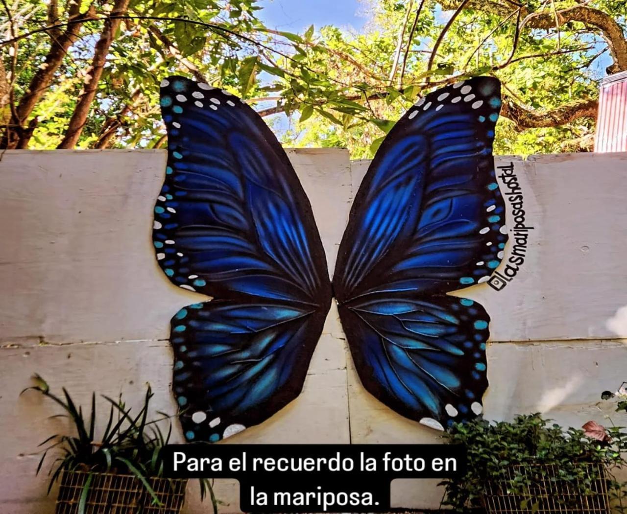 Hostal Las Mariposas Minca Eksteriør billede