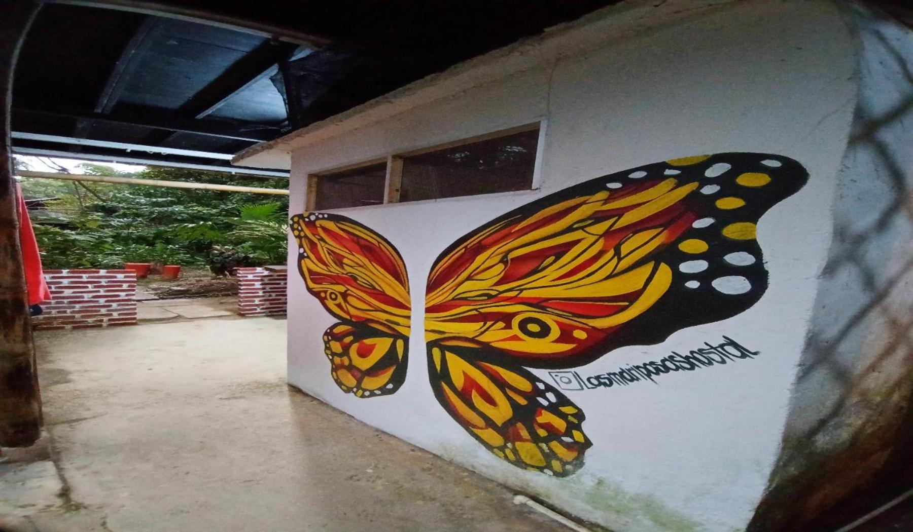 Hostal Las Mariposas Minca Eksteriør billede